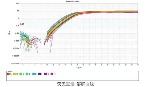 11 荧光定量-溶解曲线